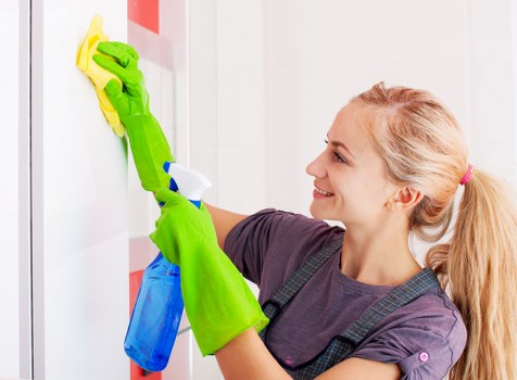 Professional window cleaning in Catford for bright and spotless glass