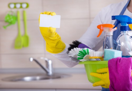 Professional carpet cleaner in Catford treating a living room carpet