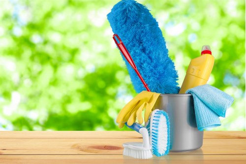 Professional sofa cleaning in a Catford living room