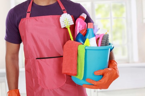 Home cleaners in Catford working in a modern living room