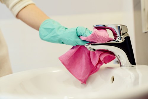Professional carpet cleaner working on a residential carpet in Catford