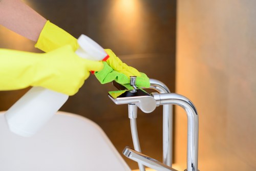 Professional cleaners in Catford providing domestic and commercial cleaning support