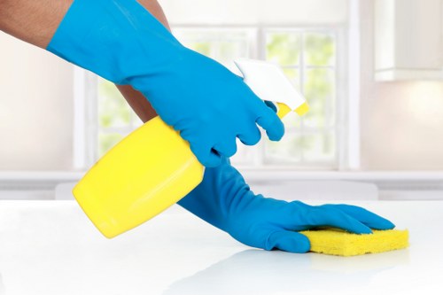 Eco-friendly office cleaning equipment for a Catford workplace