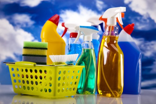 Catford cleaners providing professional cleaning service in a home