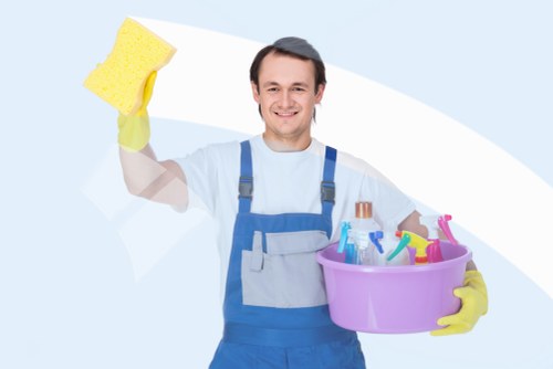 Stain removal and carpet maintenance service in Catford