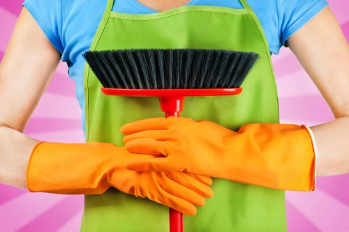 Cleaner in Catford vacuuming a tidy living room in a local home