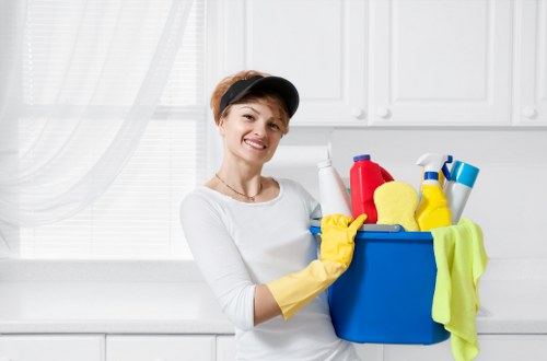 Deep oven cleaning service in Catford removing grease and grime