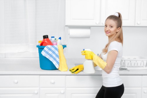 Deep carpet cleaning equipment in a Catford home