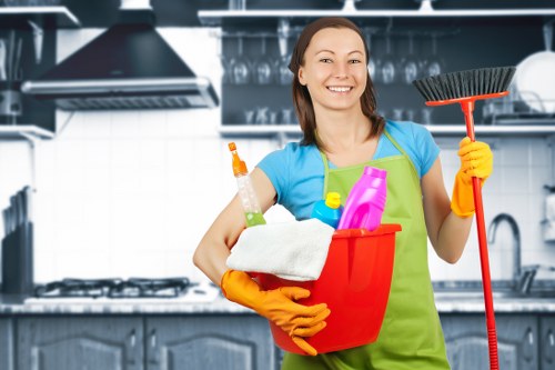 Kitchen domestic cleaning in Catford home
