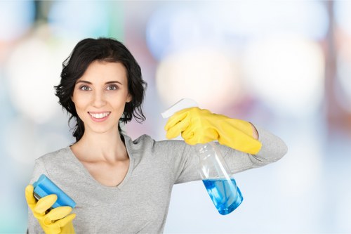 Thorough deep cleaning checklist for Catford properties
