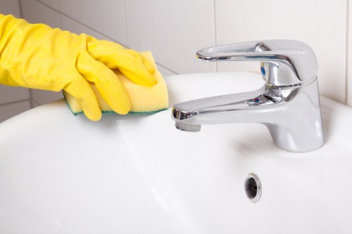 Bathroom sanitising during end of tenancy cleaning in Catford