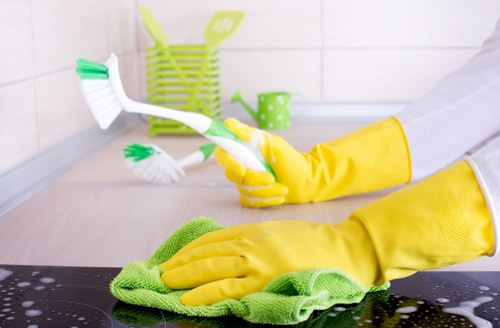 Reliable cleaners in Catford performing detailed deep cleaning tasks