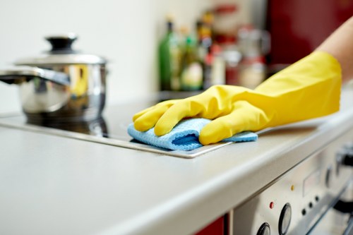 Responsible waste disposal during a house clearance in Catford