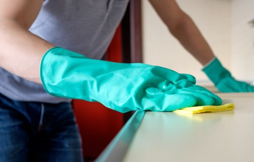 Local oven cleaner in Catford restoring a kitchen appliance