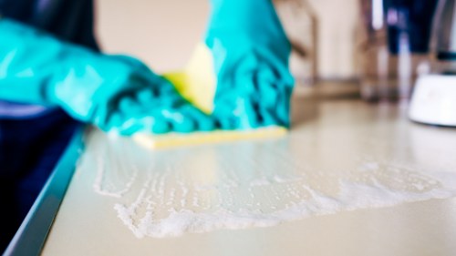 Stain removal and carpet care service in Catford