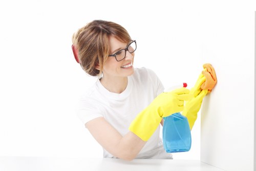 Domestic cleaning preparation in a Catford property