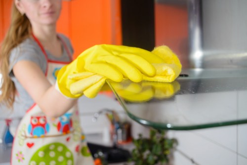 Eco-friendly cleaners in Catford delivering professional property cleaning