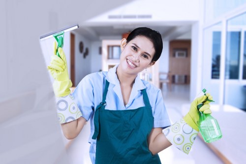 Bathroom cleaning during domestic cleaning in Catford