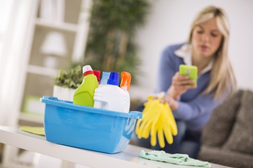 Catford cleaning services for domestic and commercial properties