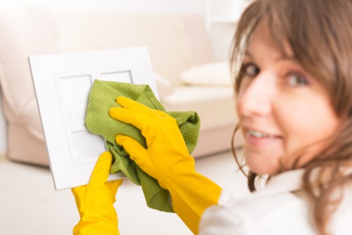 Domestic cleaners in Catford helping keep homes tidy and hygienic
