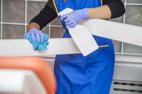 Professional domestic cleaning in a Catford kitchen